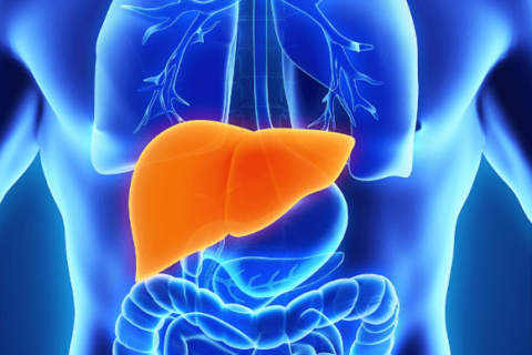 These 10 things are very beneficial for the liver